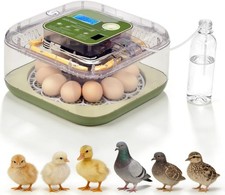 12 Egg Incubator Automatic