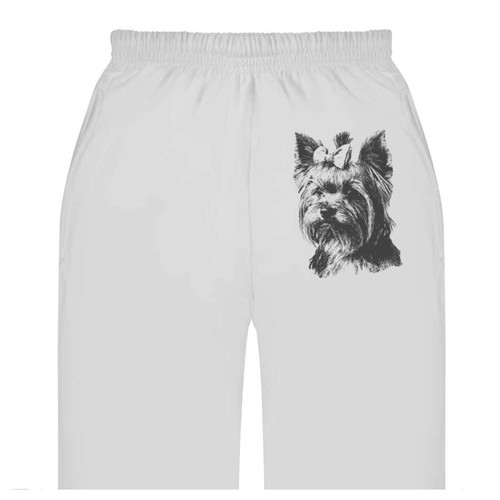 Yorkshire terrier with bow - terrier,