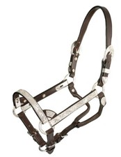 Miniature Horse Show Halter - Sz Medium- Dark Oil - Royal King - Matching Lead