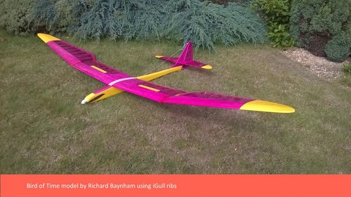 Bird time span rc - bird,