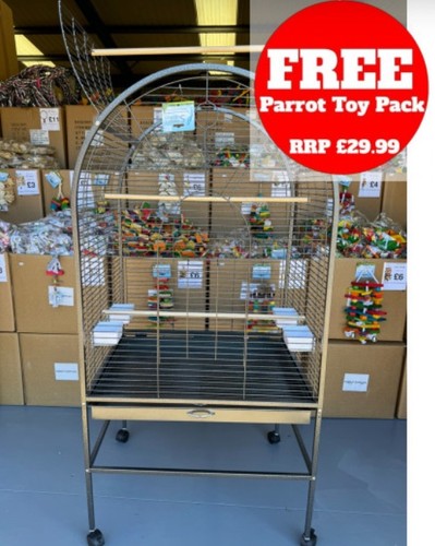Parrot supplies daytona - parrot-supplies, top