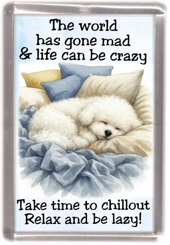 Bichon frise dog fridge magnet - frise,