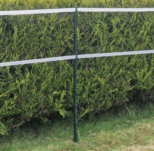 Green 5ft poly posts - green,