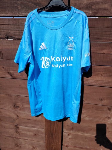 Nottingham forest football - nottingham,