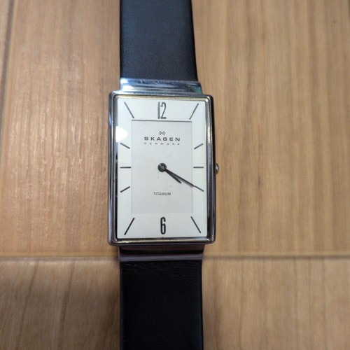 Skagen titanium - skagen,