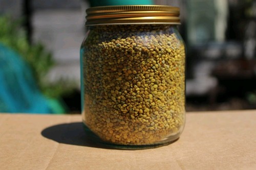Fresh bee pollen - fresh, may