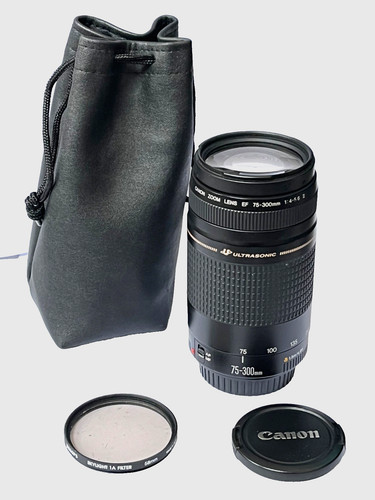 Canon 300mm 5 - canon, f3.5-5.6