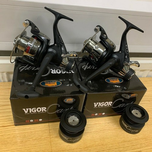 Lineaeffe vigor 40 carp - 2,