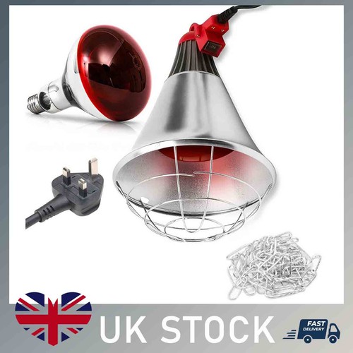 Infrared heat lamp - infrared,