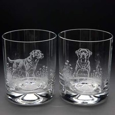 Labrador Dog Whiskey Tumbler