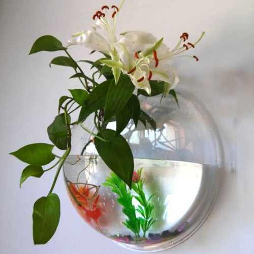 Home decor wall - home, fish