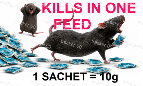 Rodent rat mouse strong - mouse, killer