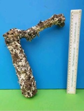 CORK BARK BRANCH 31CM LEOPARD