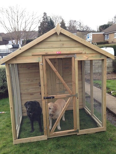 Dog kennel and run - dog,