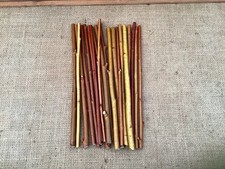 20 Red willow cuttings