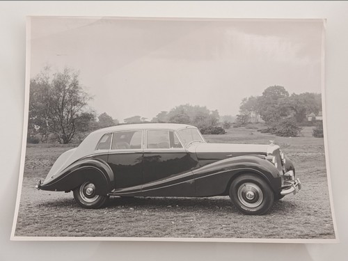 1952 original vintage photo - original,