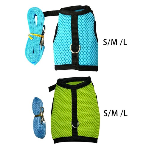 Rabbit harness and - rabbit, leash