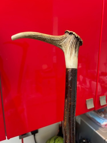 Deer horn crook - crook, walking