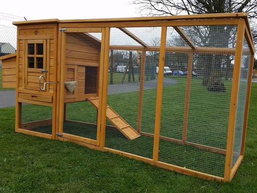Large cocoon chicken hen house - cocoon,