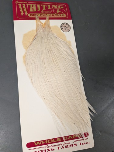 Whiting bronze cape white dry - whiting,