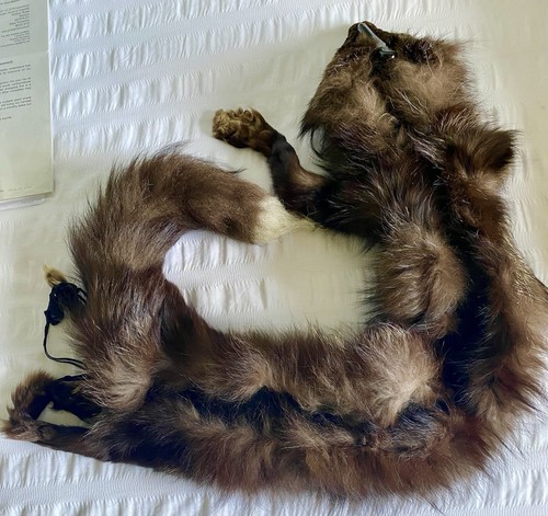 Vintage genuine fox fur - fox,