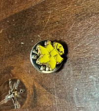 SMALL VINTAGE YELLOW DAFFODIL