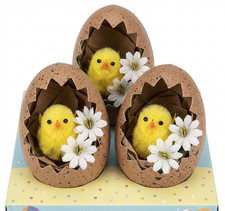 3pcs chicks eggs - chicks,