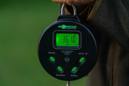 Korda digital scale 132lb 60kg - scale,