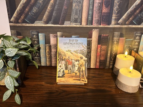 Vintage ladybird book david - vintage,