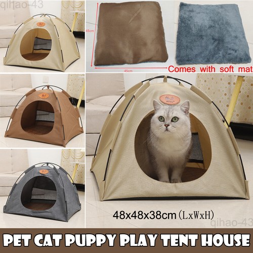 Folding pet cat dog puppy - folding,
