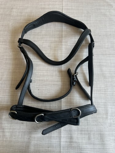 Claridge house training - claridge, bridle