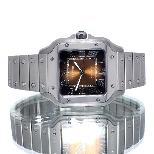 Cartier santos - santos,