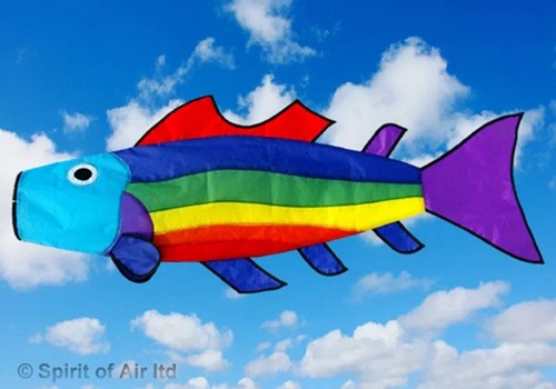 Rainbow fish windsock for - rainbow,
