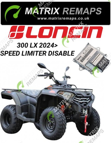 2024 loncin 300 - 300, lx