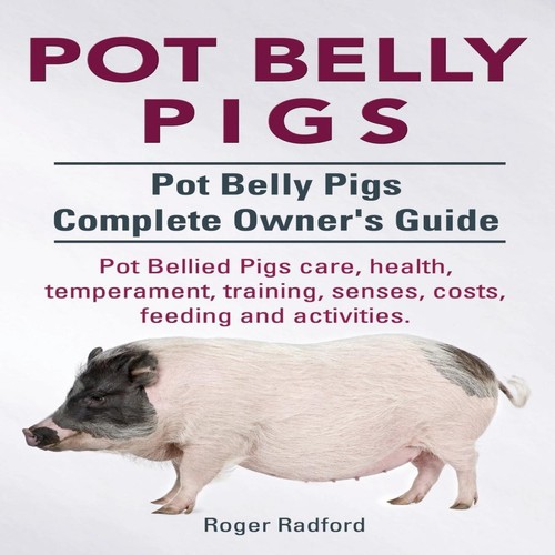 Pot belly pigs - pot,