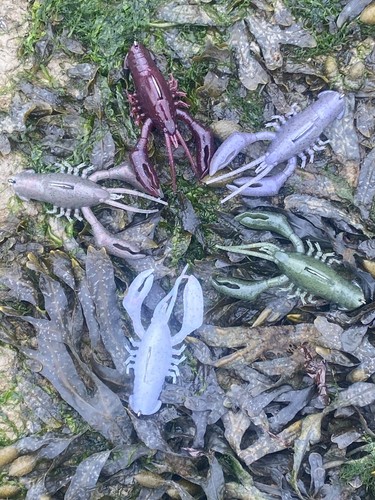 Sleeper craw style creature - craw,