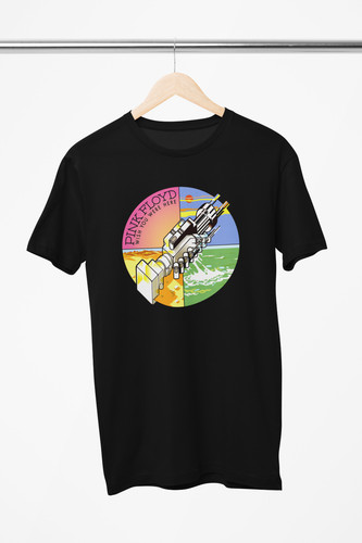 Pink floyd wish - pink,