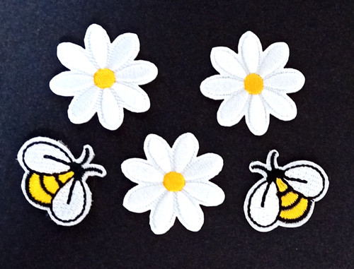 Daisy type flowers and 2 - flowers,