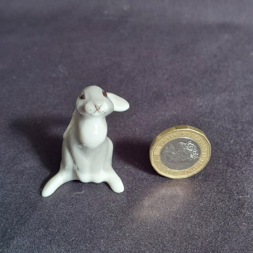 Lomonosov lfz rabbit - lomonosov,