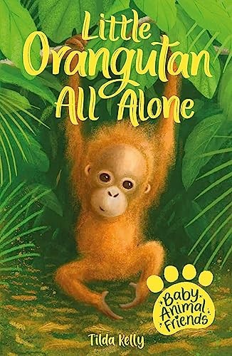 Little orangutan all alone - little,