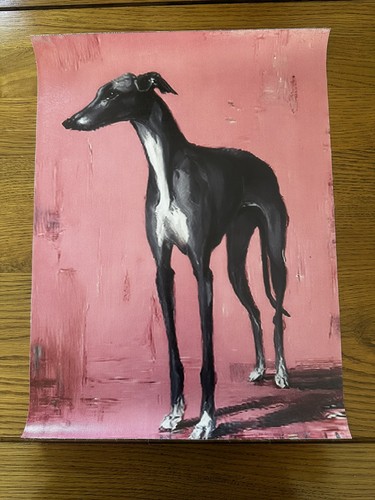 Grey whippet greyhound - whippet, canvas