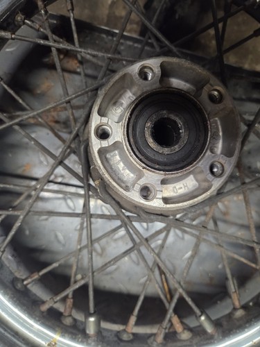 Harley davidson wheel - harley,