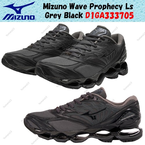 Mizuno wave prophecy - mizuno,