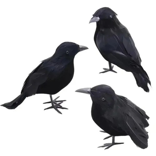 Life size crow decoy - life,