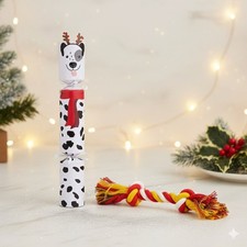 Pet Dog Christmas Cracker