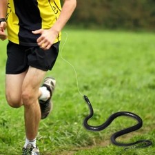 Large snake prank simulation - large,