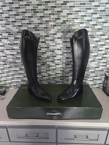 Petrie verona polo dressage - verona,