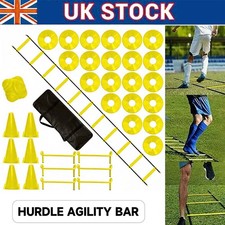 Agility Speed Hurdles Ladder