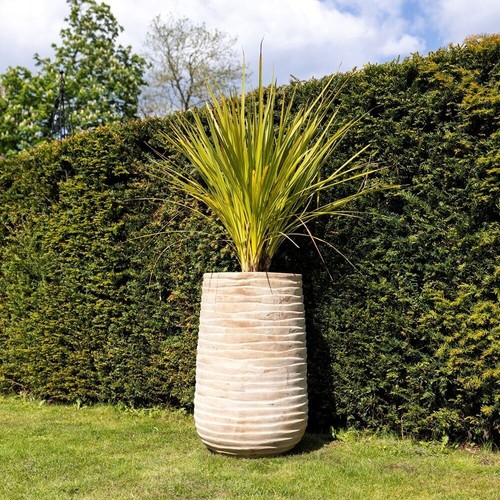 Primrose ribbed textured - primrose,