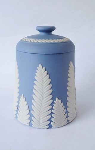 Wedgwood blue jasper fern - blue, leaf